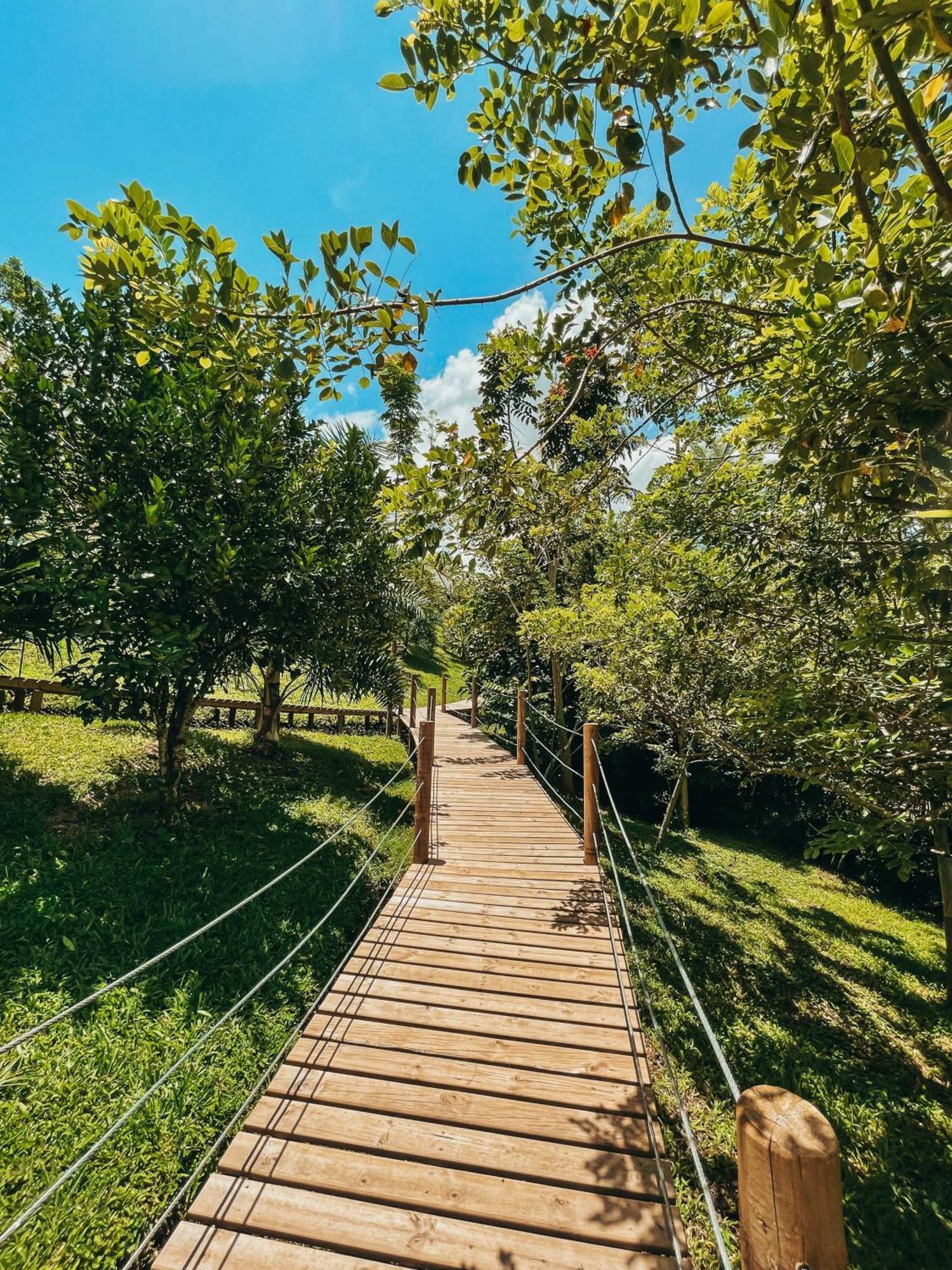 فندق Glamping Entre Rios Calarcá المظهر الخارجي الصورة